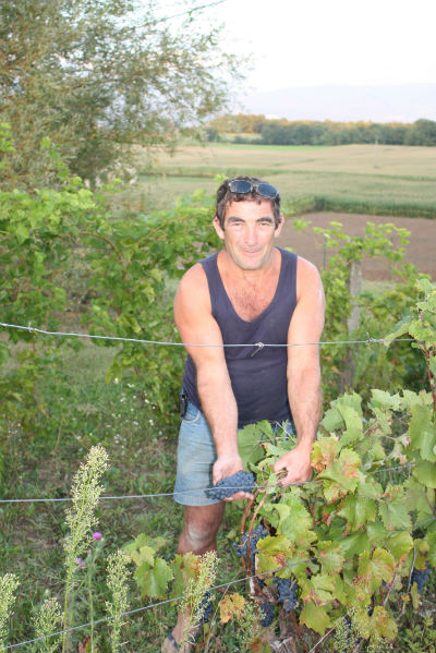 Bruno inspecte les vendanges