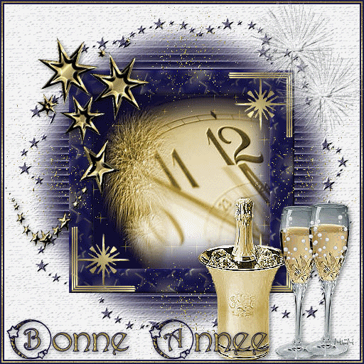 Bonneannée1
